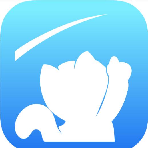 图