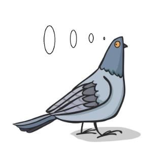 图