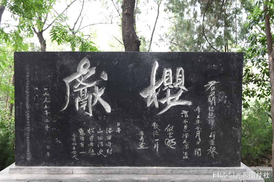 图