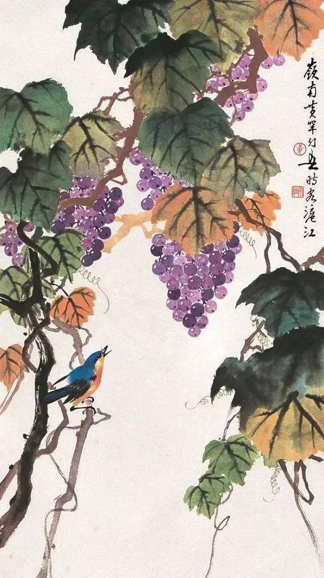 图