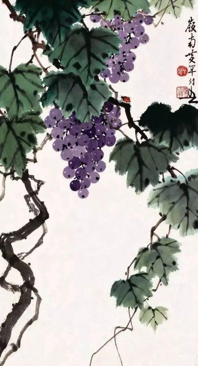 图