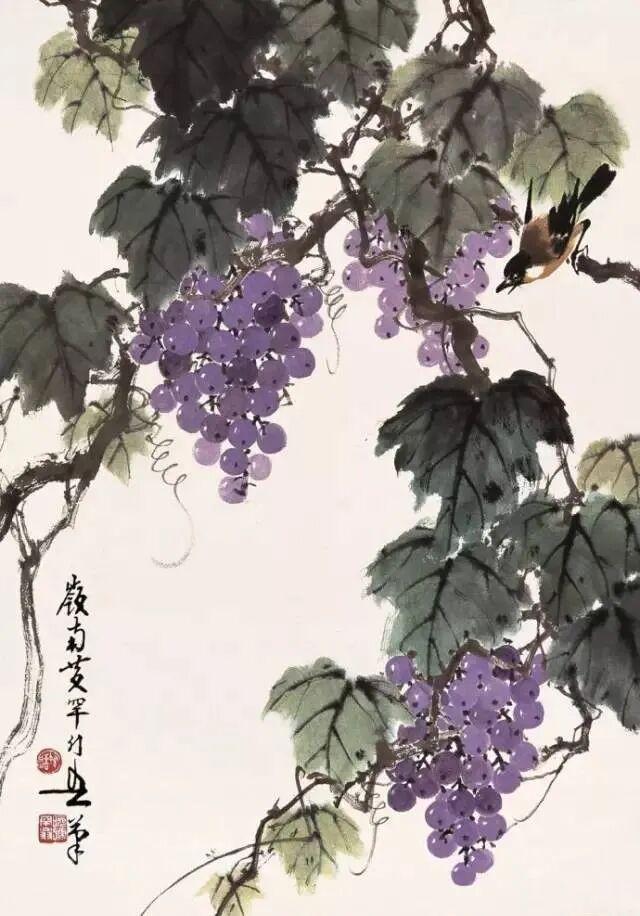 图