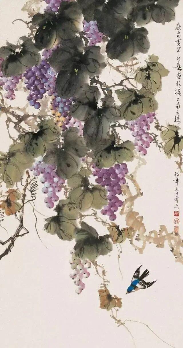 图