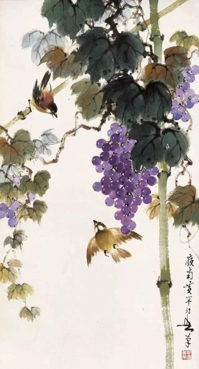 图