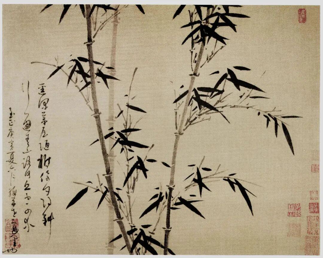 图