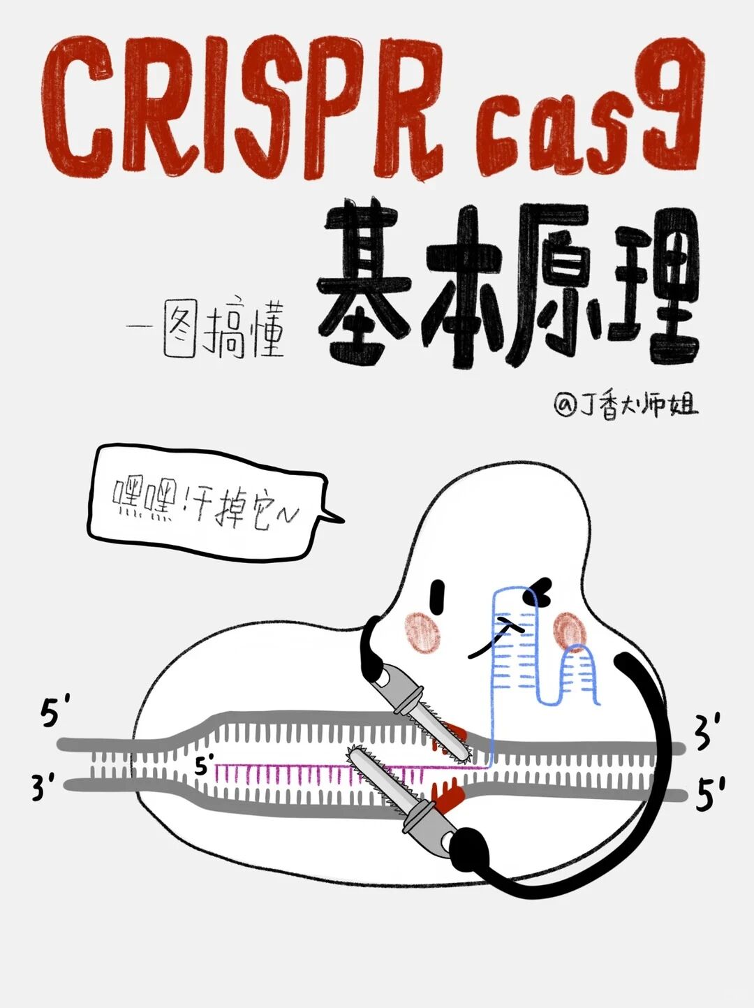图