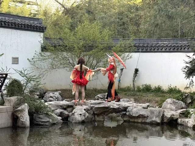 图