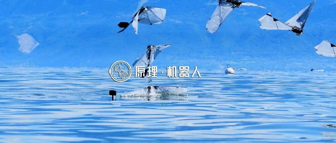 图