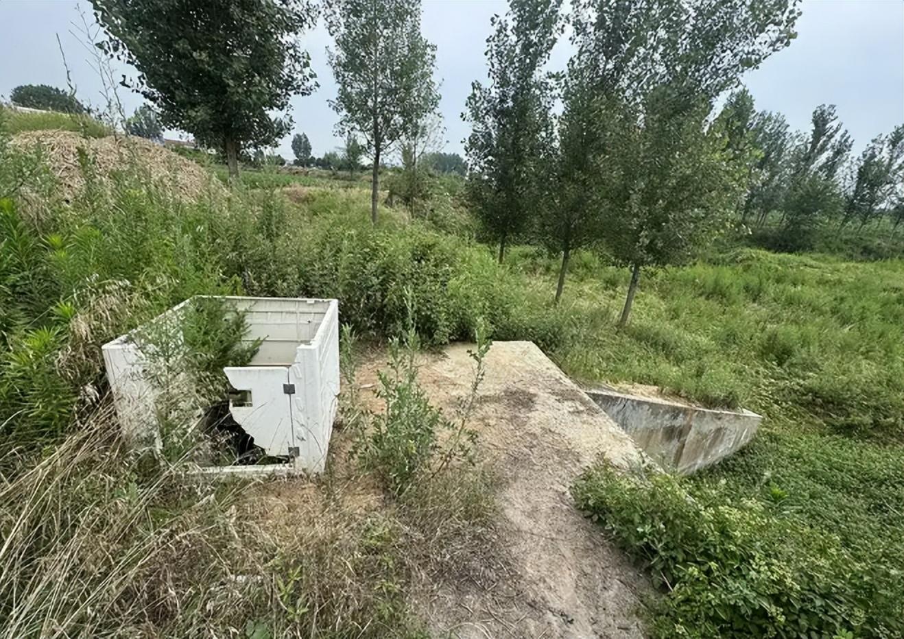 图