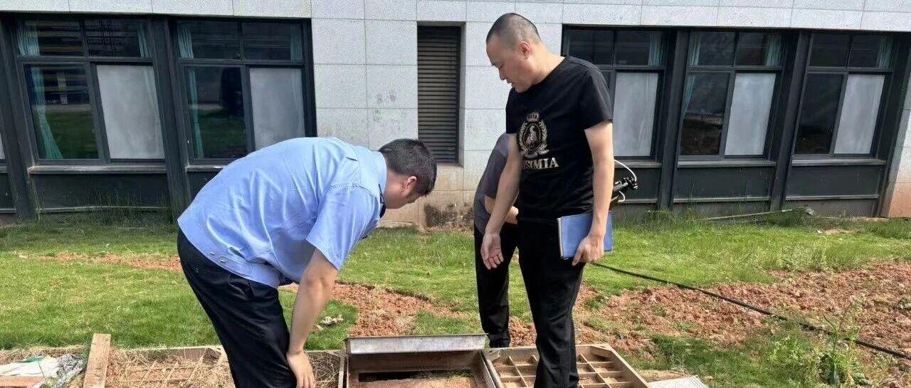 图