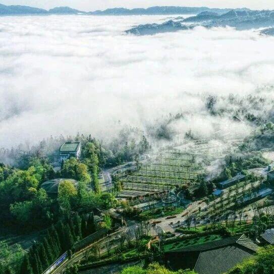 图