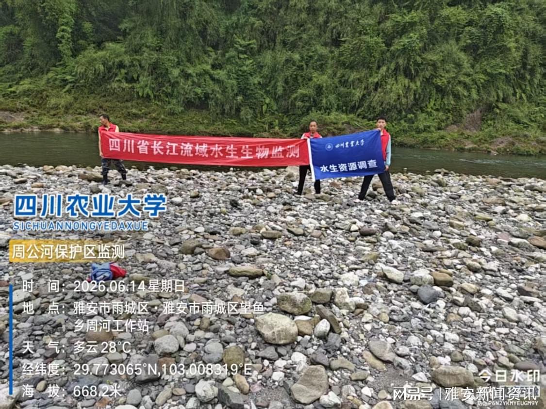图