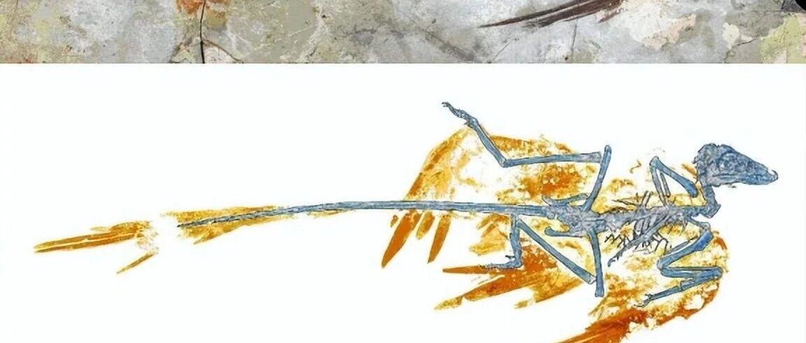 图