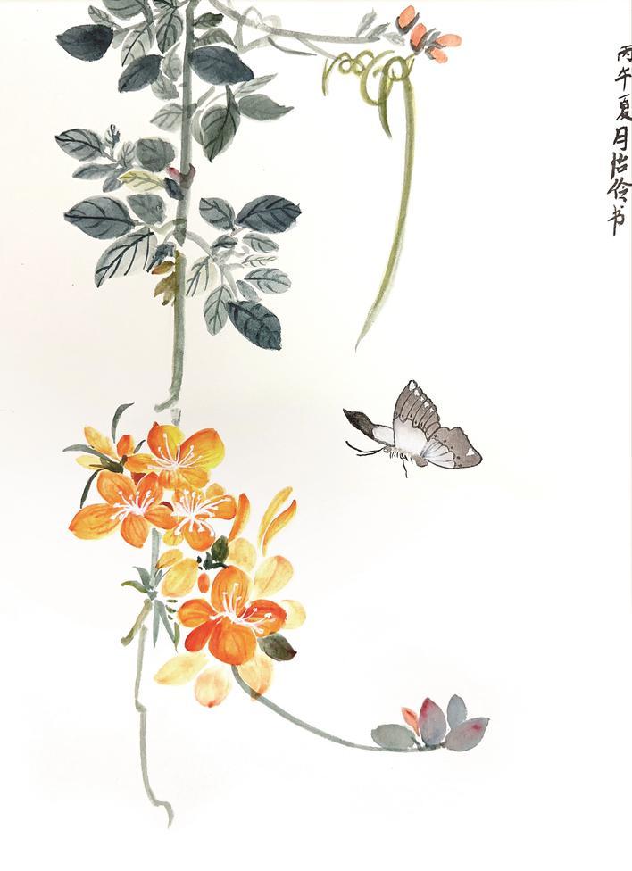 图