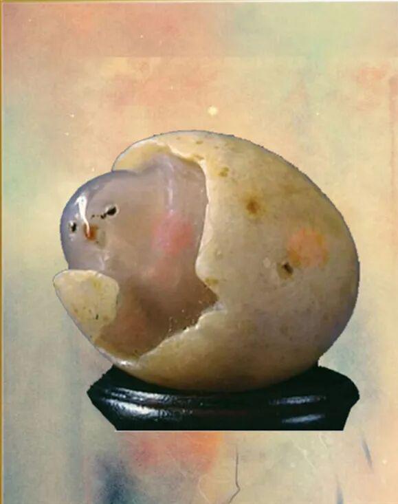 图