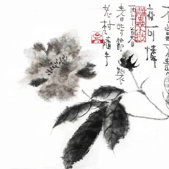 图