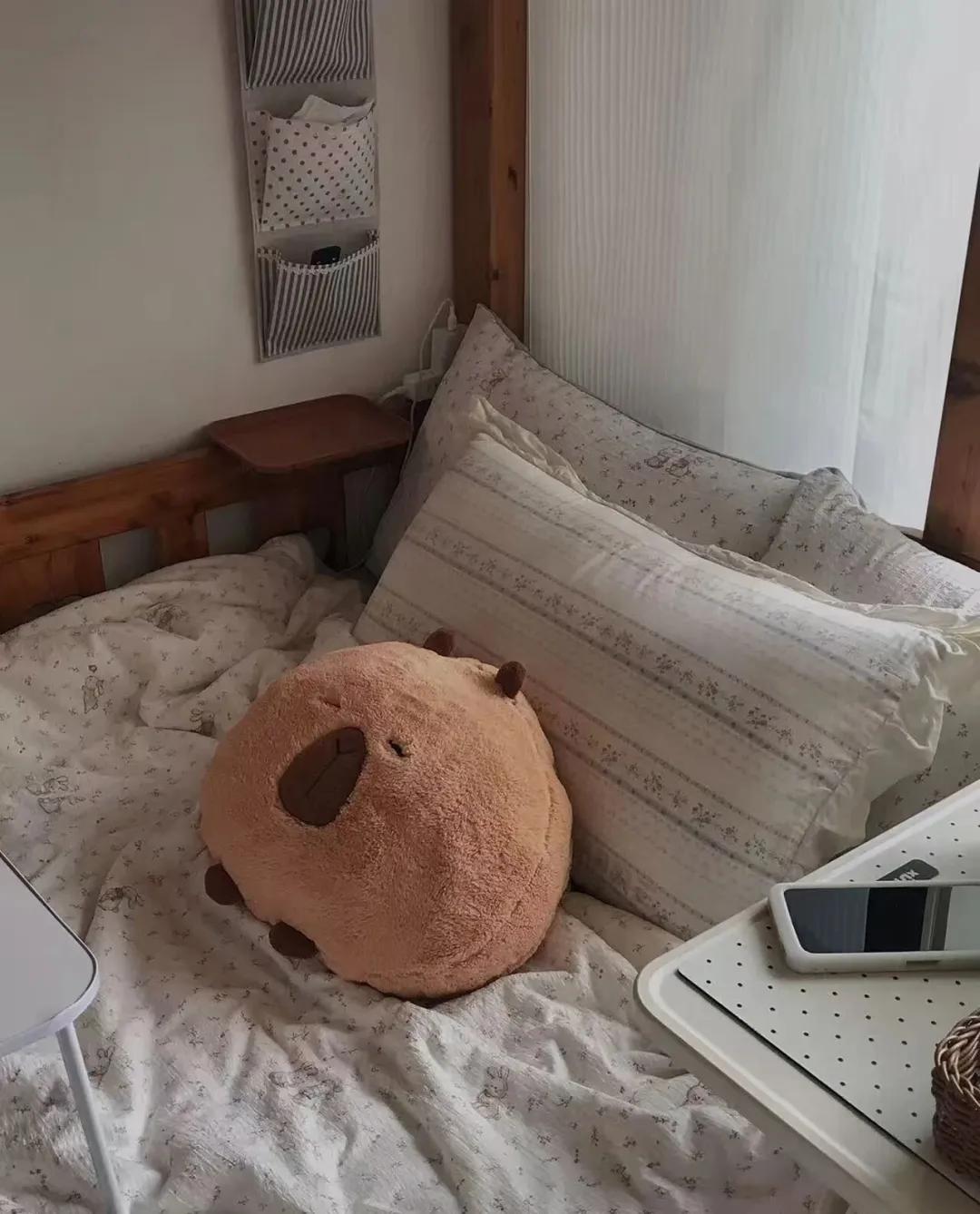 图