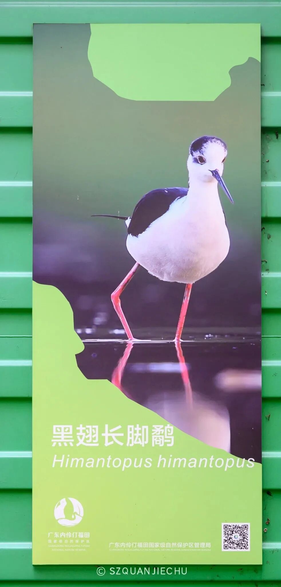图