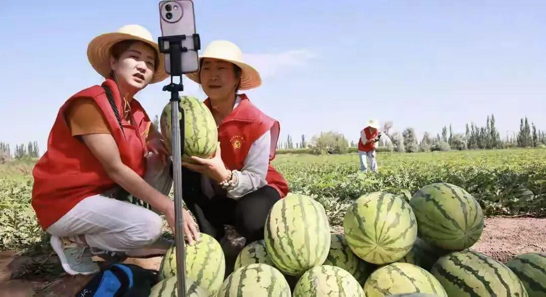 图