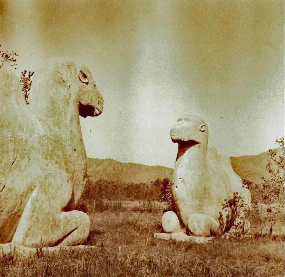 图