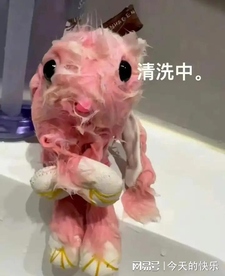 图