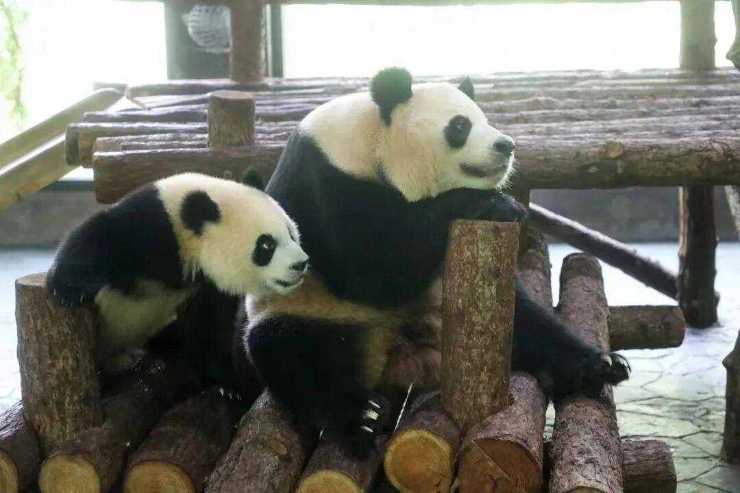 图