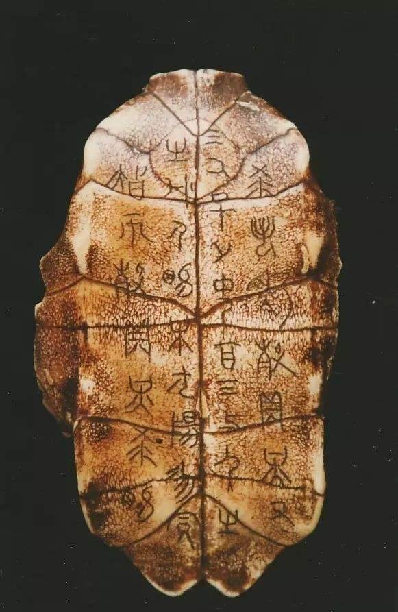图