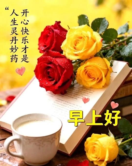 图