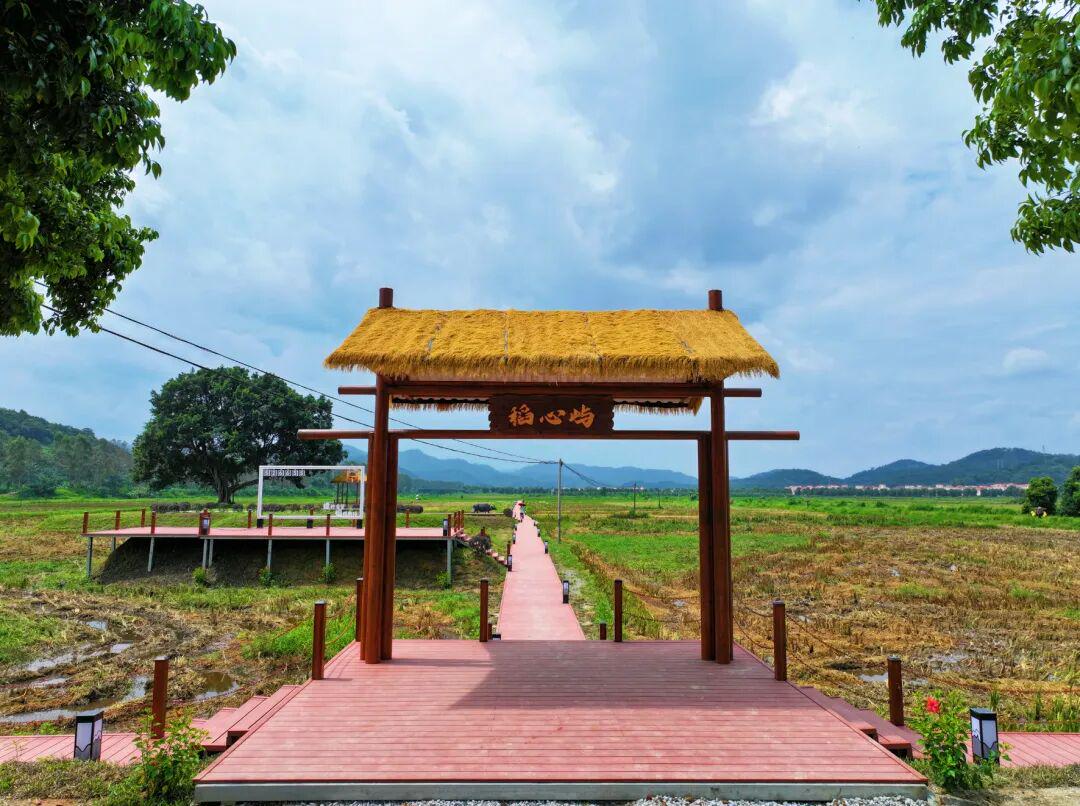 图