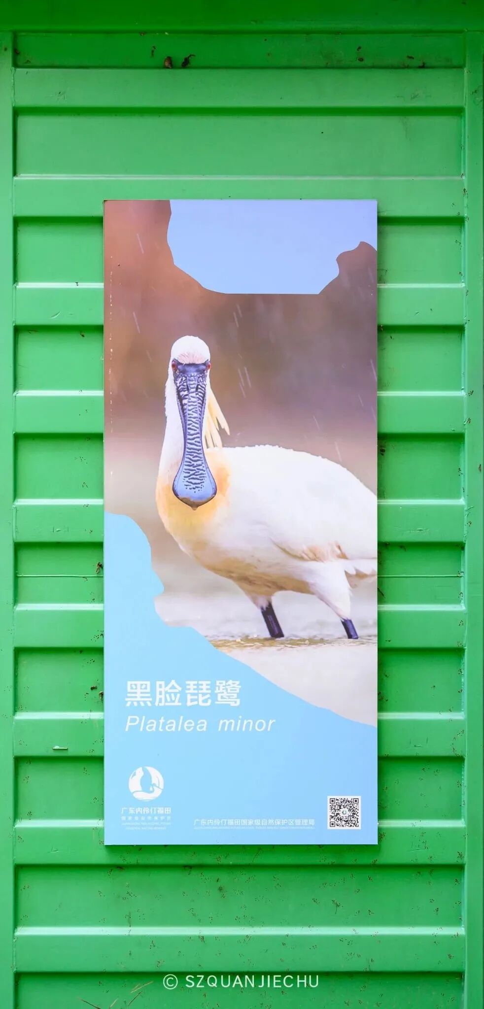 图