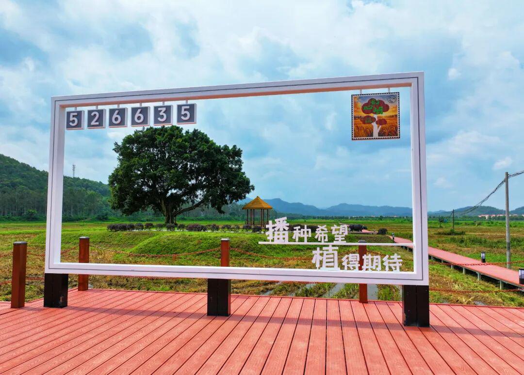 图