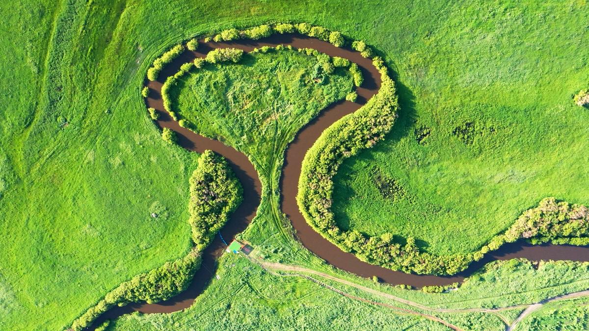图