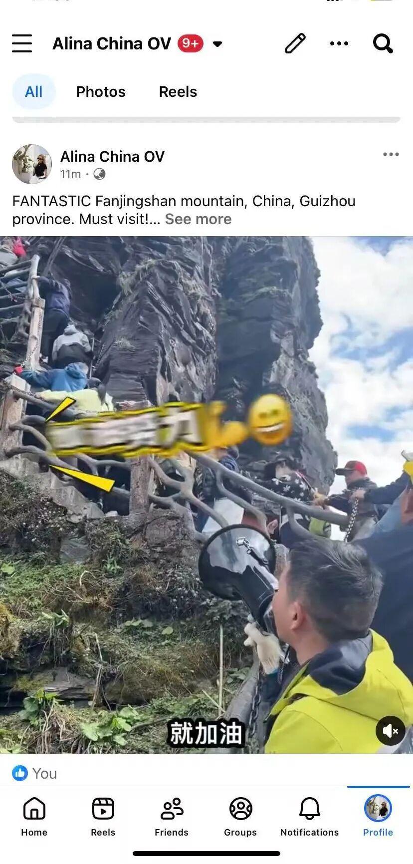 图