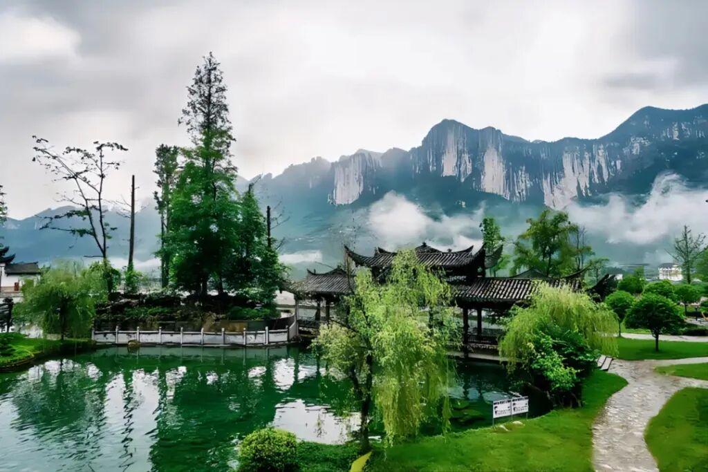 图
