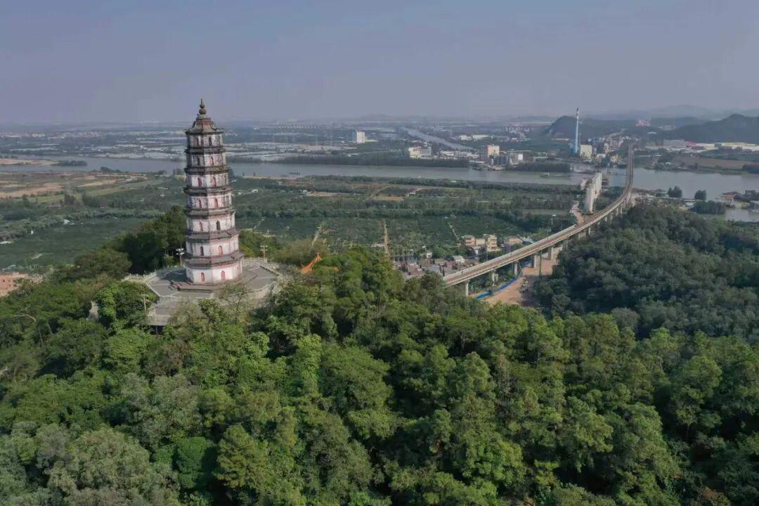 图