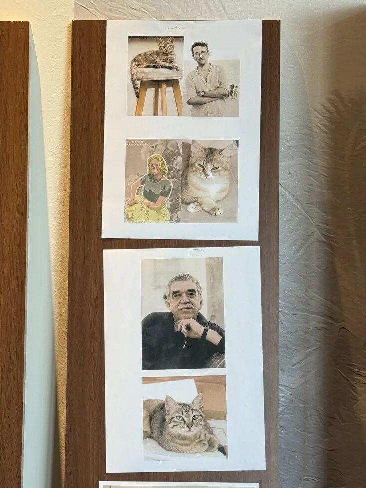 图