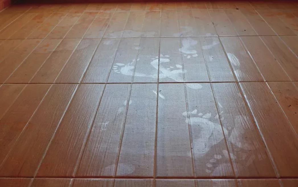 图