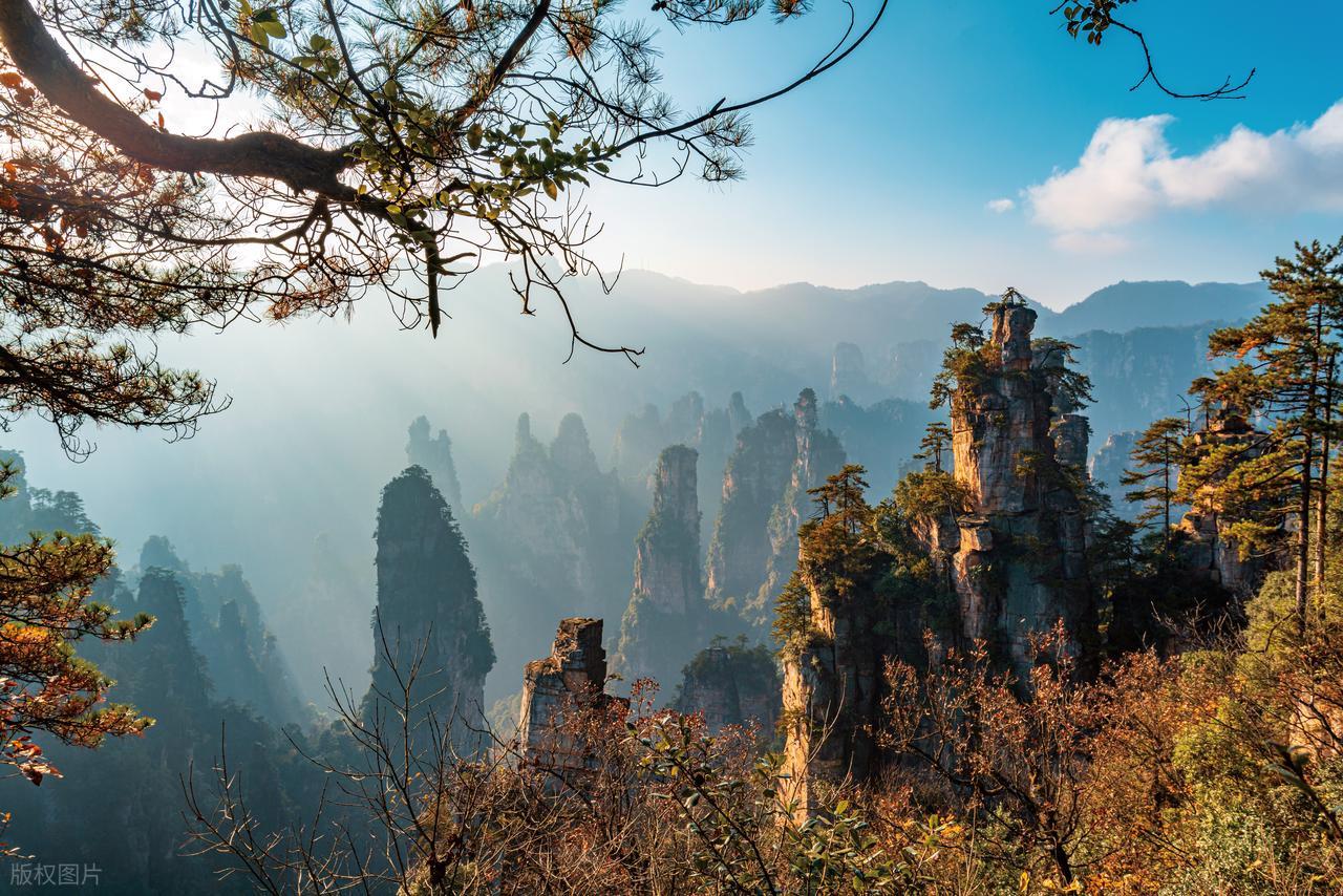 图