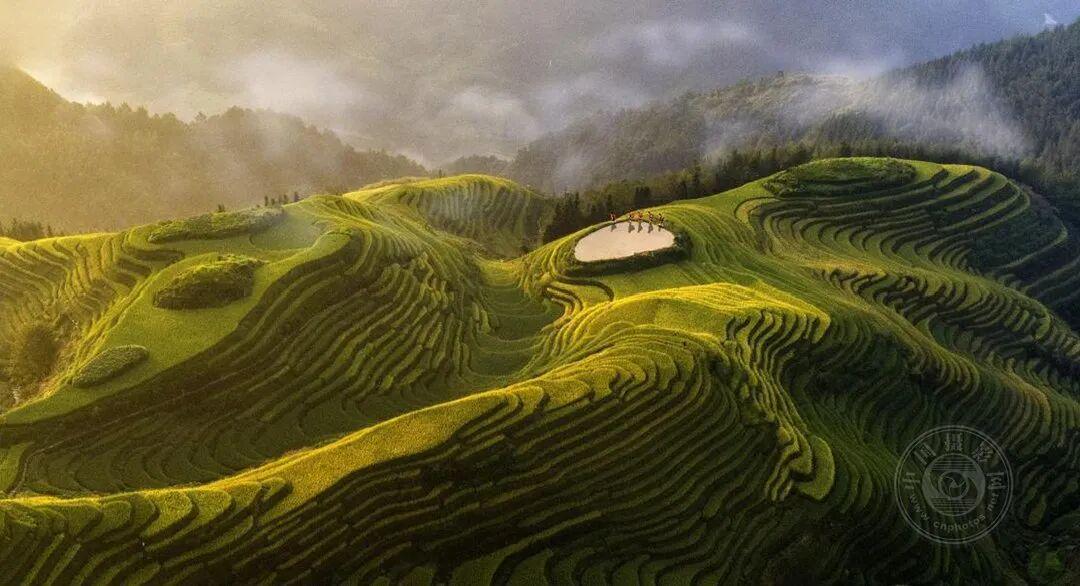 图