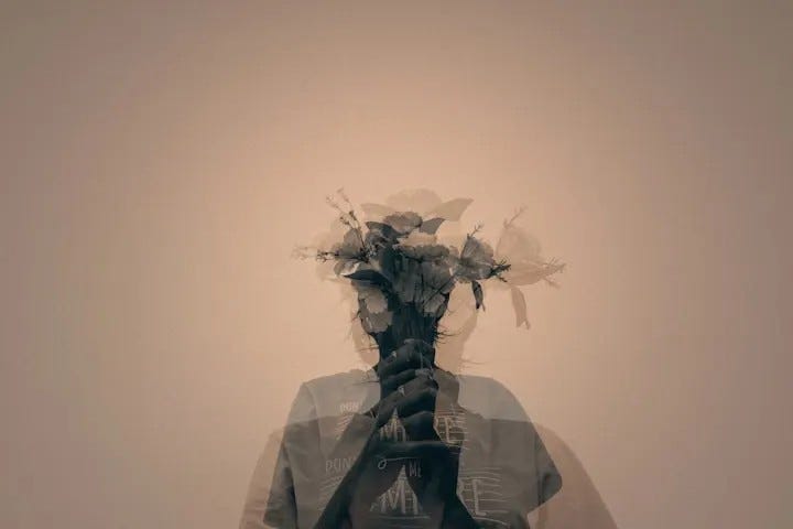 图