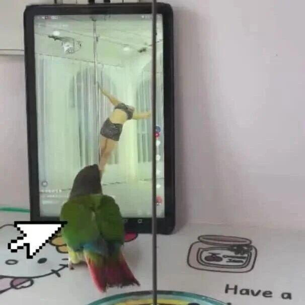 图