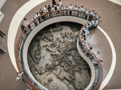 图