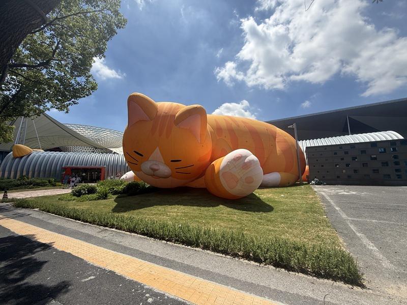 图