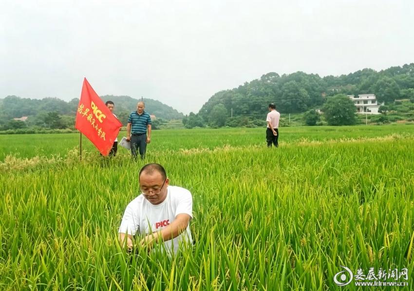 图