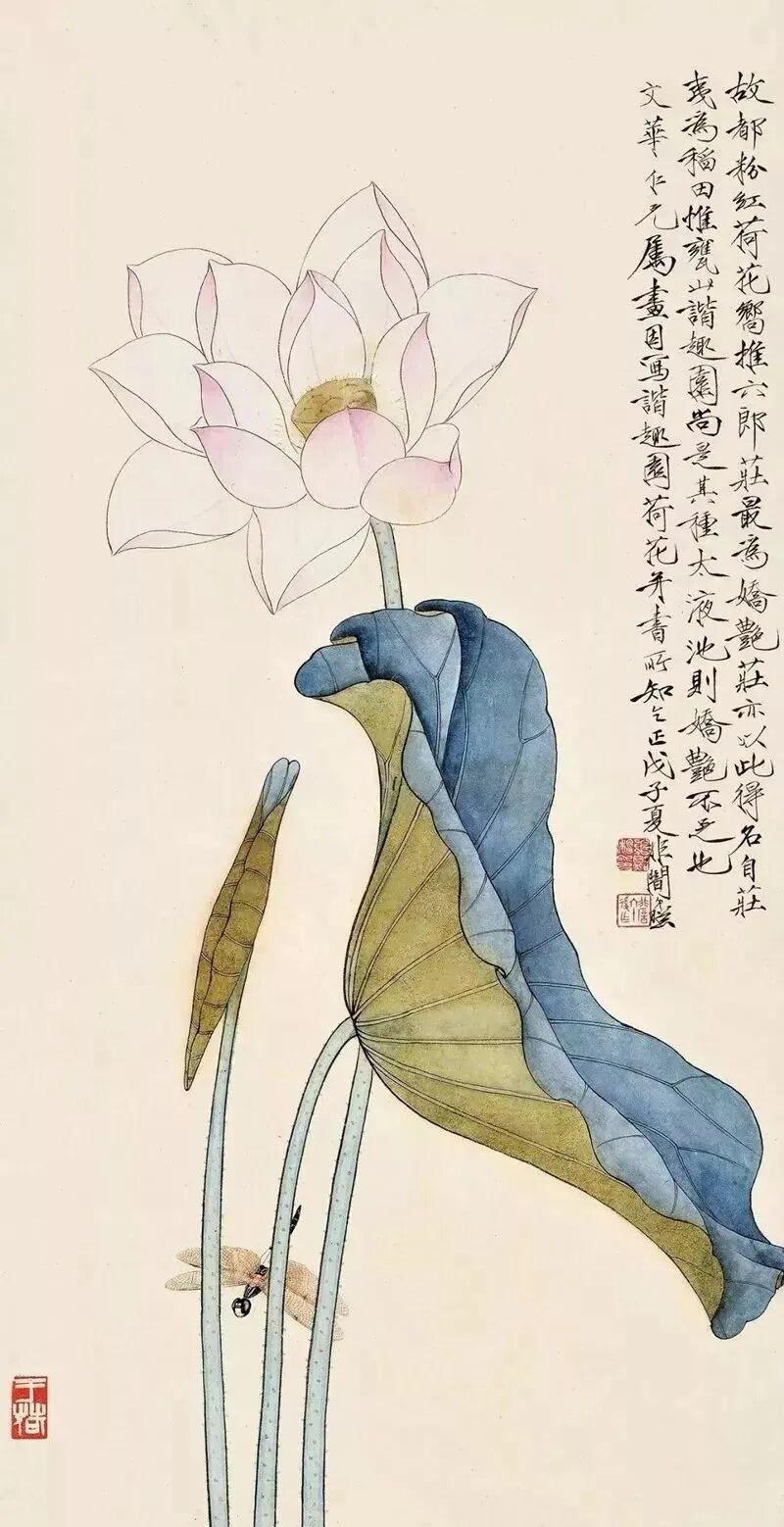 图