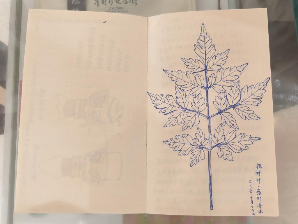 图