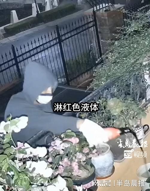 图