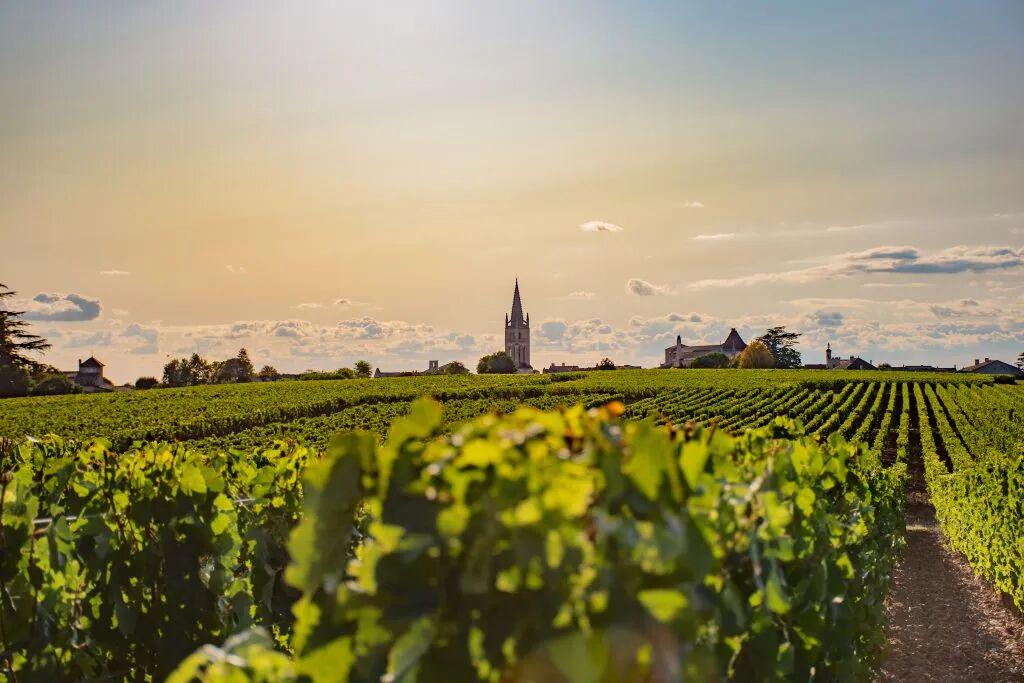 图