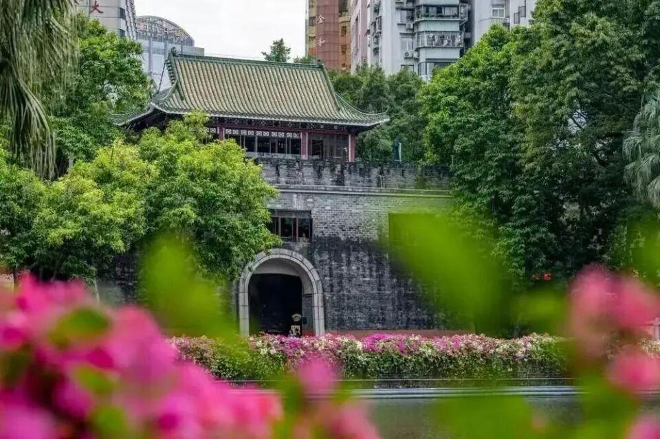 图