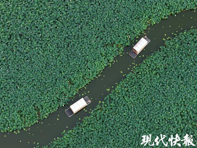图